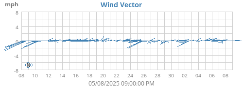 Wind Vector