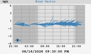 Wind Vector